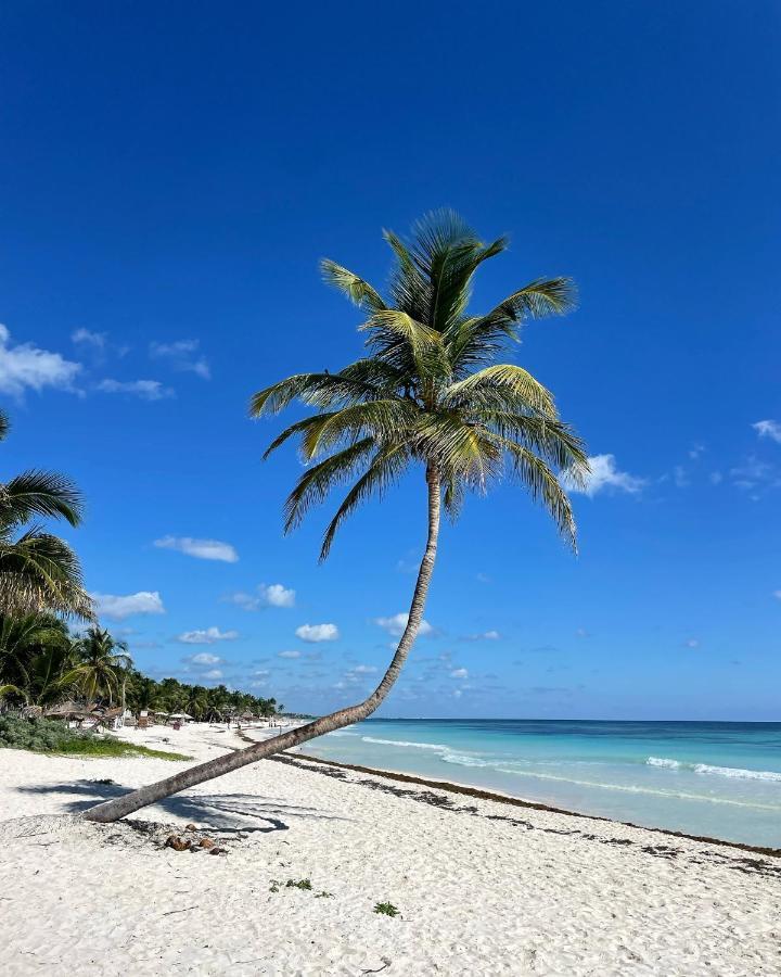 Chavez Eco Beach Camping And Cabanas Tulum Kültér fotó